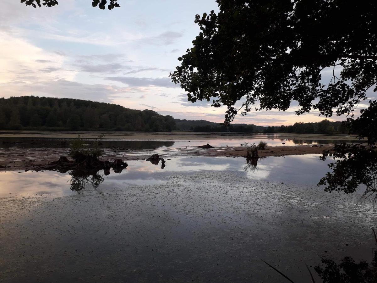 La Maison Du Colombophile Neuville-sur-Ailette Luaran gambar